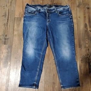 Silver Jean Sam capri